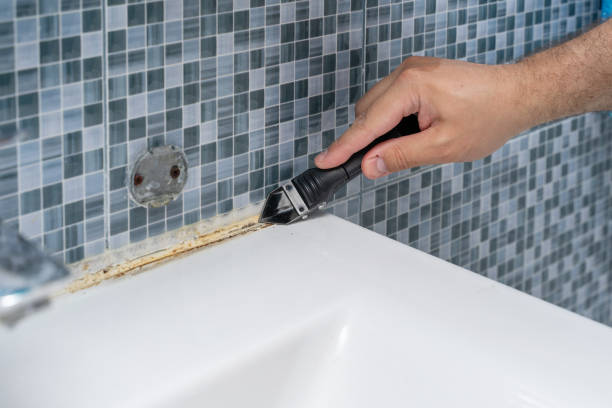 Best Mold Cleaning Services  in Ponderosa Pine, NM
