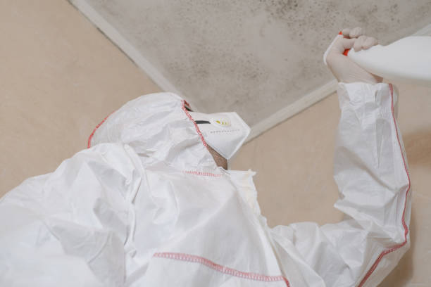 Best Crawl Space Mold Removal  in Ponderosa Pine, NM