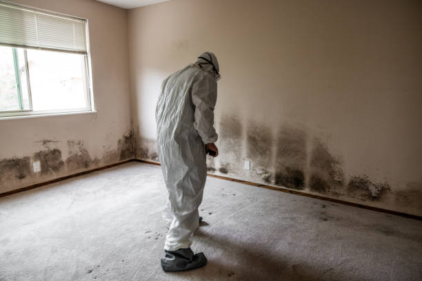 Best Emergency Mold Removal  in Ponderosa Pine, NM